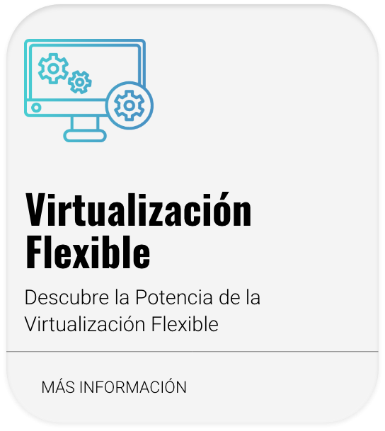 Visualización flexible